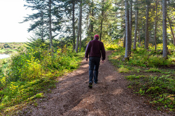 Senior aged male hiking through the woods along a worn path on an autumn day. The man is wearing a dark puffy jacket, a red ball hat, and jeans. The trees are tall with sun seeping in through them. 