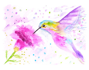 Abstract watercolor painting of a wild hummingbird with a single pink flower