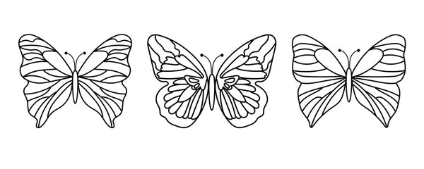 black contour butterflies set on white background