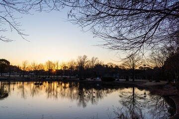 夜明けの公園