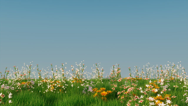 Spring Field with Long Grass, Wild Flowers and clear blue sky. Nature Background with copy space.