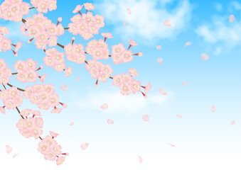 桜の花と青空の春らしいベクター素材