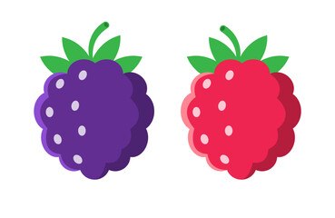 Flat icon of blackberry and raspberry design graphic vector. Fresh organic healthy fruit.