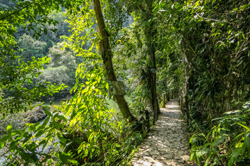 Shady footpath with green trees along Rio Claro canyon, Doradal, Colombia