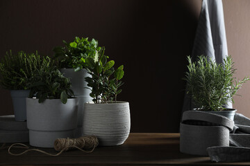 Different aromatic potted herbs on wooden table