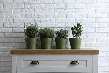 Different aromatic potted herbs on chest of drawers near white brick wall