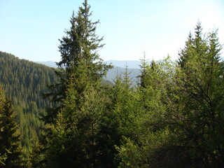 Landscape in mountain and some very old houses 