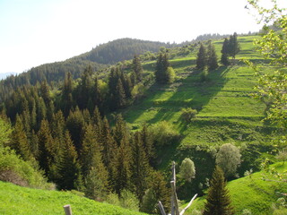 Landscape in mountain and some very old houses 