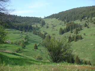 Landscape in mountain and some very old houses 