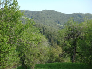 Landscape in mountain and some very old houses 