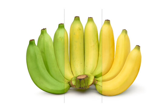 Ripening stages of banana isolated on white background.