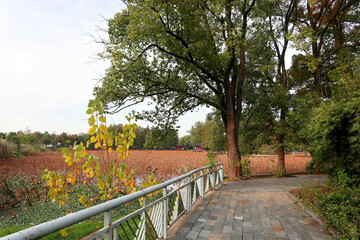 Fototapeta premium path in the park
