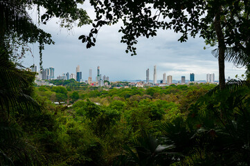Obraz na płótnie Canvas Landscape view of the city from the forest Panama metropolitan park
