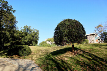 path in the park