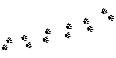 Animal pawprint trail. Sketch footprints of a rabbit, bunny, cat or dog. Vector illustration isolated in white background