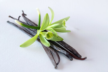 Aromatic Vanilla sticks and flowers on white background, vanilla fargrans (Salish) Ames, Vanilla...