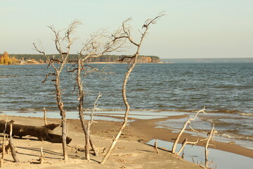 осенняя природа в сибири на реке обь