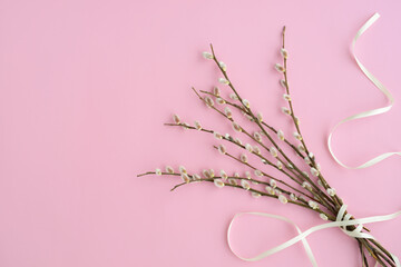 bouquet of blossoming pussy willow and white ribbon on a pink background. Easter bouquet