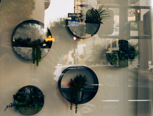 Urban garden with a street reflection