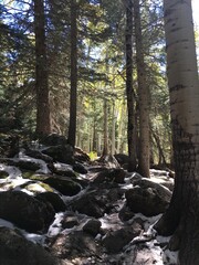 Aspens3