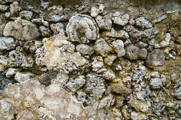 Coral stone wall of ancient houses by the sea