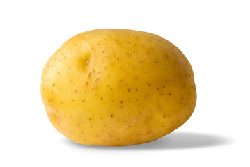 Fresh raw potato on white isolated background