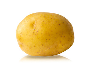 Fresh raw potato on white isolated background