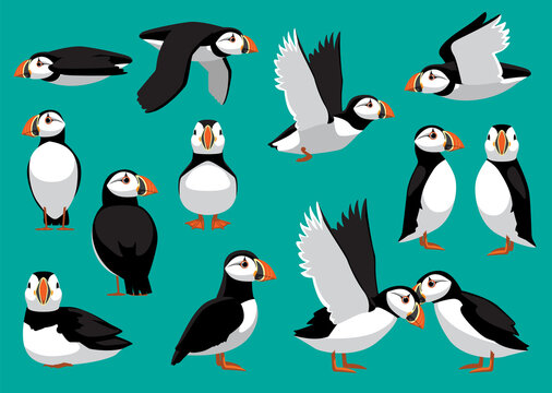 Puffin Vector Images – Browse 5,154 Stock Photos, Vectors, and