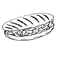 Panini vector illustration, hand drawing doodle