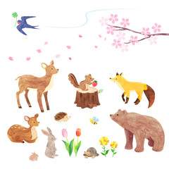 Obraz premium 手描き水彩風 森にいる可愛い動物たちのイラストセット