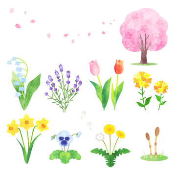 手書きイラスト の画像 1 429 861 件の Stock 写真 ベクターおよびビデオ Adobe Stock