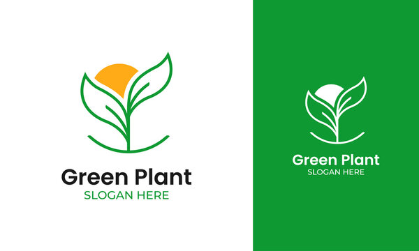 Minimalist plant logo with nature and organic concept