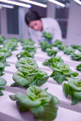 Woman working in lab with plants