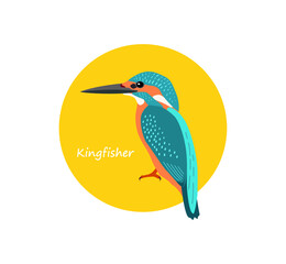 Common kingfisher portrait in round frame. Vector illustration