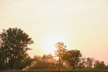 Fototapeta na wymiar sunset with smoke in the forest