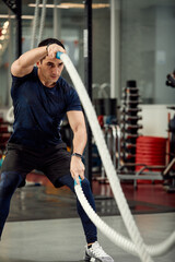 Plakat Man sitting on his toes holding a pair of battle ropes for workout. guy at the gym working out with fitness rope.