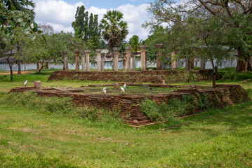 Obraz premium On the ruins of an ancient temple in the vicinity of the Jetavana Stupa. Anuradhapura, Sri Lanka