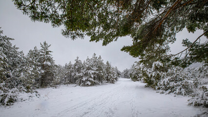 Winterlandschaft