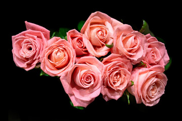 Huge bouquet of pink roses on a black background