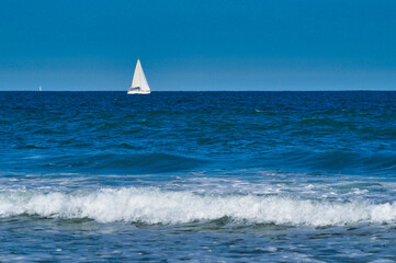 sailboat on the sea