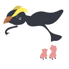 フィヨルドランドペンギン飛ぶ