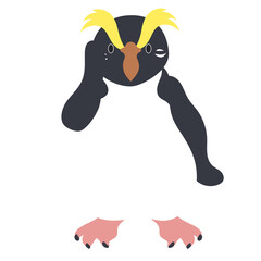 フィヨルドランドペンギン正面