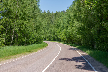 Fototapeta na wymiar Forest and road landscape. Summer season.