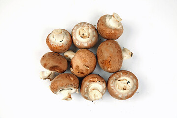 Neun Champignons