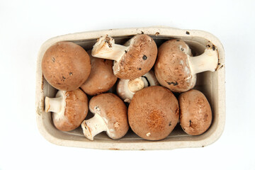 Eine Packung Champignons