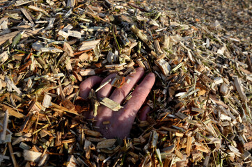 a man's hand buried in an accident, which brings mulching and chipping of wood for gardening and...