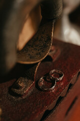 They symbolize our lifelong commitment to each other. Wedding rings.