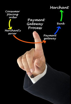 Components of payment gateway process