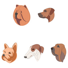 Breeds of dogs drawn in minimal style set. One line dogs. Vector illustration with colours