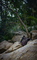 person sitting on a rock